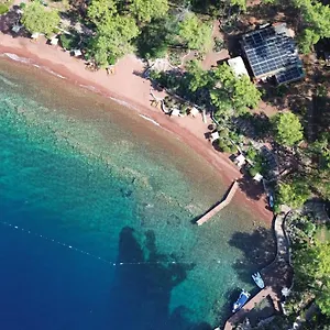 Ada Capra , Marmaris Türkiye